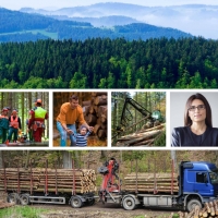 SIMWOOD Sustainable Innovative Mobilisation of Wood SIMWOOD Sustainable Innovative Mobilisation of Wood